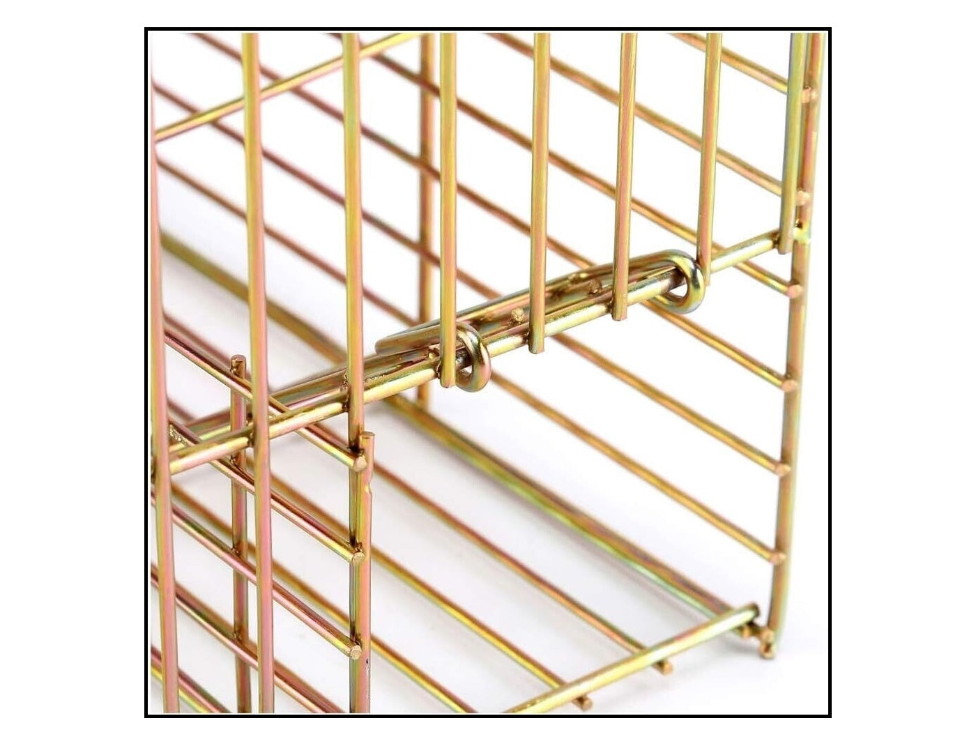 Racan - Rat Cage Trap | Pest Control - Buy Online SPR Centre UK