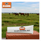 Radiol B-R Antibacterial Jelly | Animal Health - Buy Online SPR Centre UK