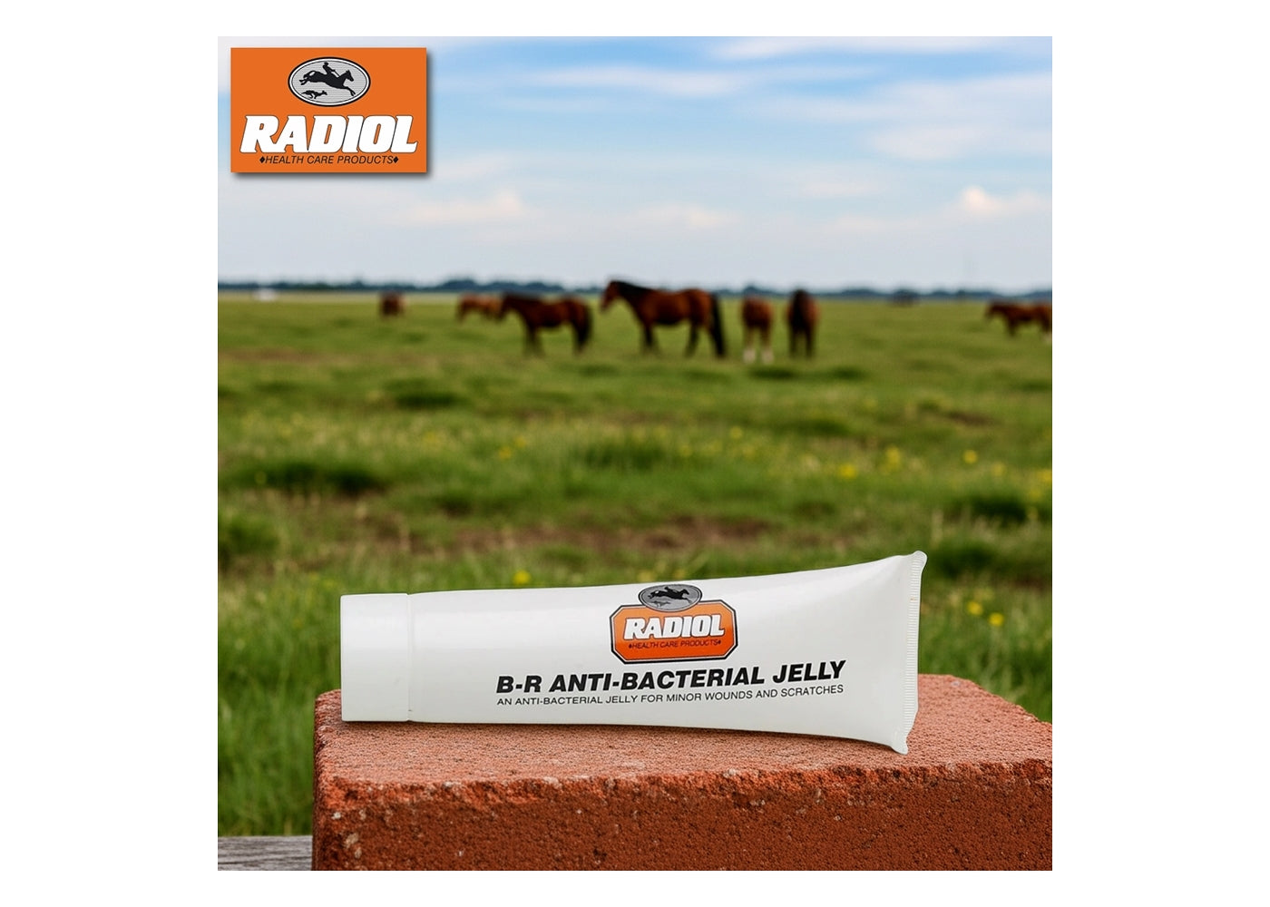 Radiol B-R Antibacterial Jelly | Animal Health - Buy Online SPR Centre UK