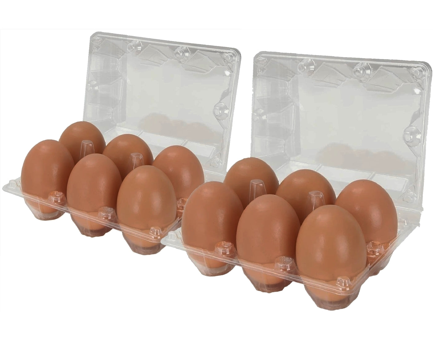 100% Recycled Plastic Egg Boxes for Jumbo Eggs - Pack of 10 (20 x Egg Boxes) - Buy Online SPR Centre UK