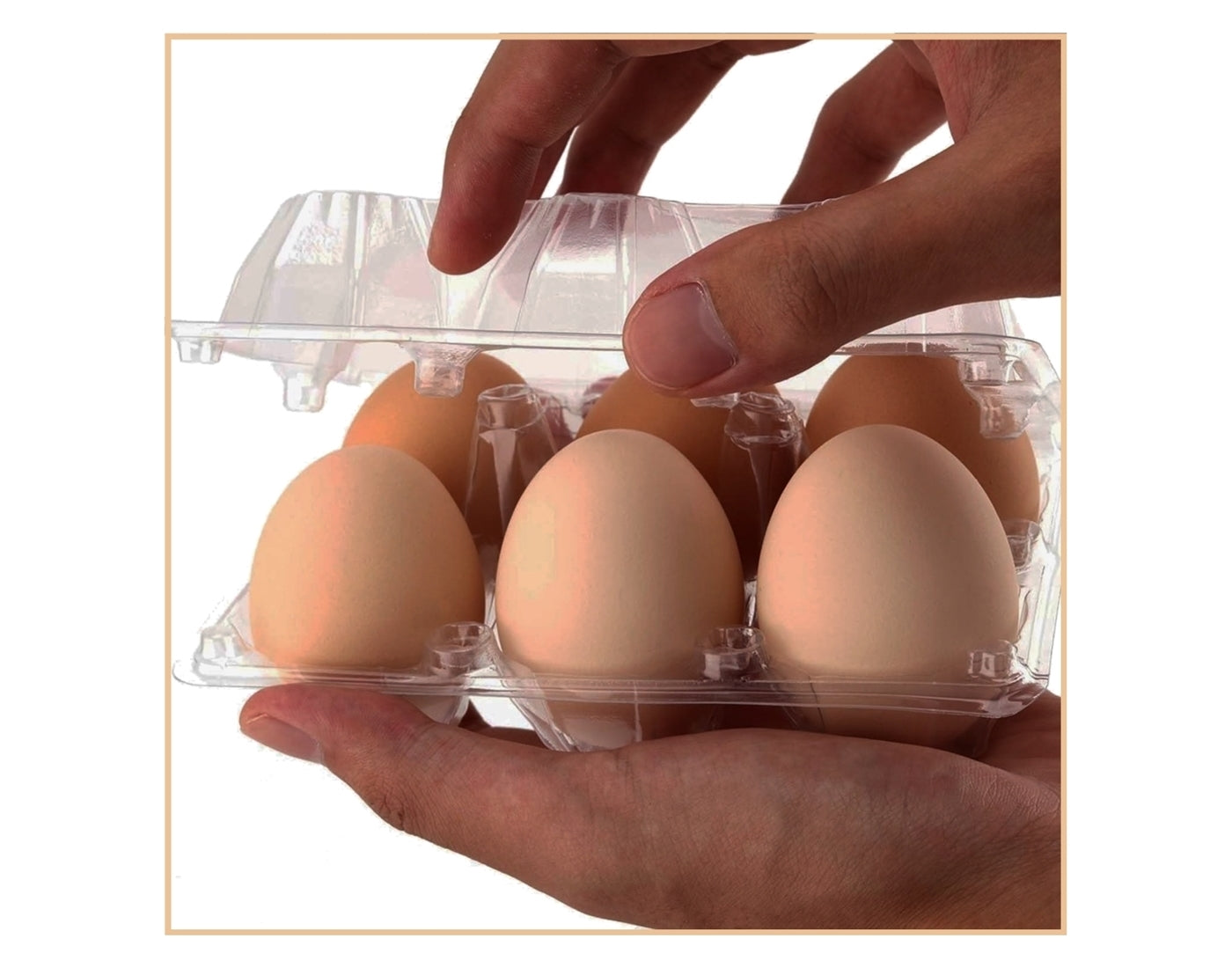 100% Recycled Plastic Egg Boxes for Jumbo Eggs - Pack of 10 (20 x Egg Boxes) - Buy Online SPR Centre UK