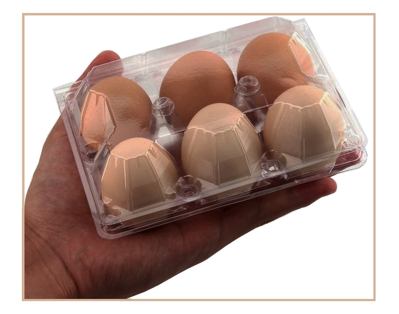 100% Recycled Plastic Egg Boxes for Jumbo Eggs - Pack of 10 (20 x Egg Boxes) - Buy Online SPR Centre UK