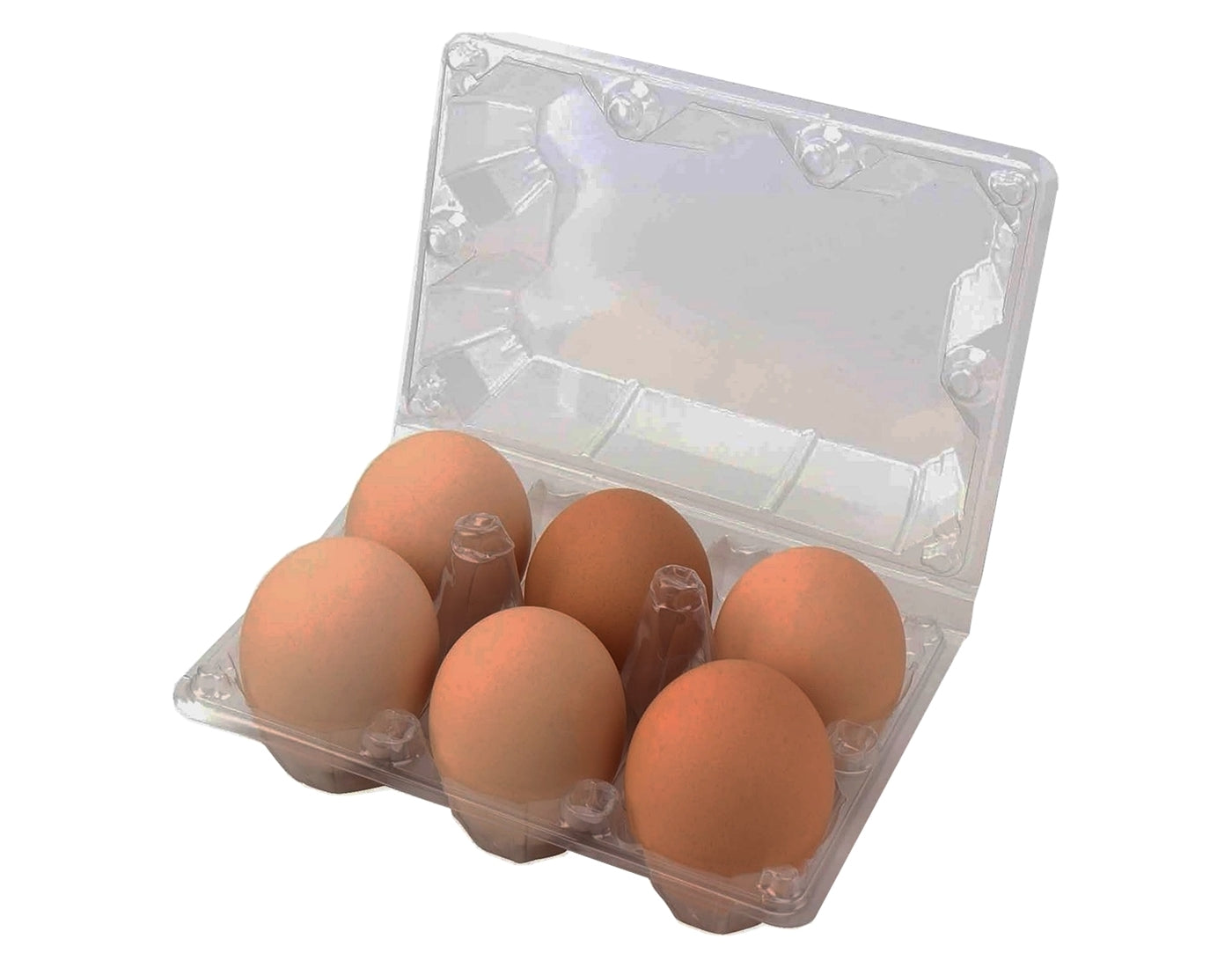 100% Recycled Plastic Egg Boxes for Jumbo Eggs - Pack of 10 (20 x Egg Boxes) - Buy Online SPR Centre UK