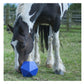 Red Gorilla - Dripfeed (Blue) | Horse Treat Toy - Buy Online SPR Centre UK