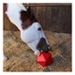 Red Gorilla - Dripfeed (Red) | Horse Treat Toy - Buy Online SPR Centre UK