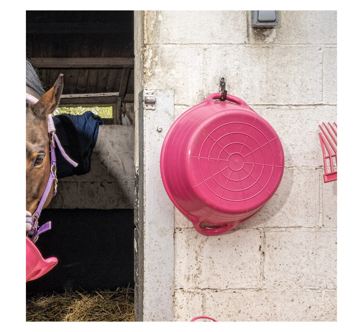 Red Gorilla Medium Skip 20 Litre | Equestrian Essentials - Buy Online SPR Centre UK