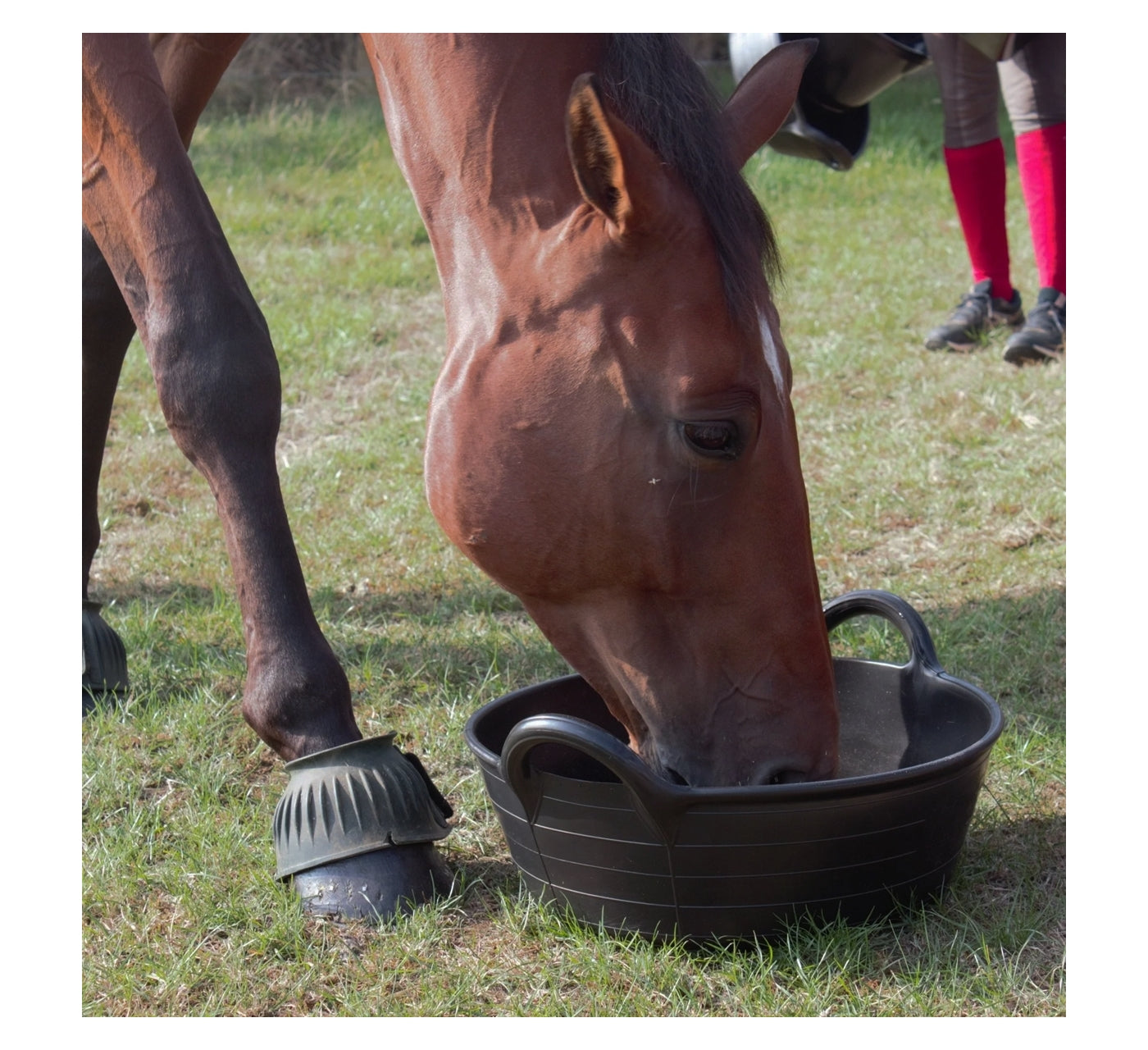 Red Gorilla Medium Skip 20 Litre | Equestrian Essentials - Buy Online SPR Centre UK