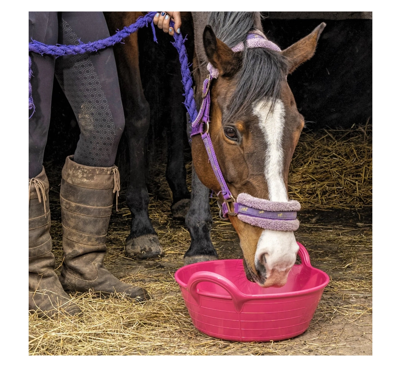 Red Gorilla Medium Skip 20 Litre | Equestrian Essentials - Buy Online SPR Centre UK