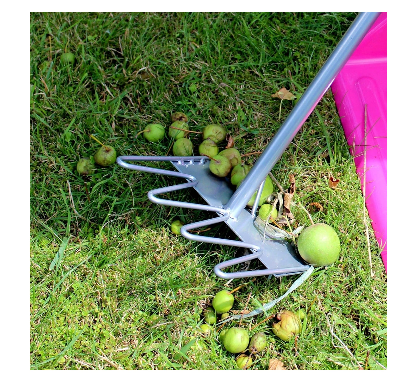 Red Gorilla Tidee Rake | Stable & Yard Essentials - Buy Online SPR Centre UK