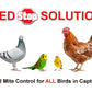 Red Stop Solution