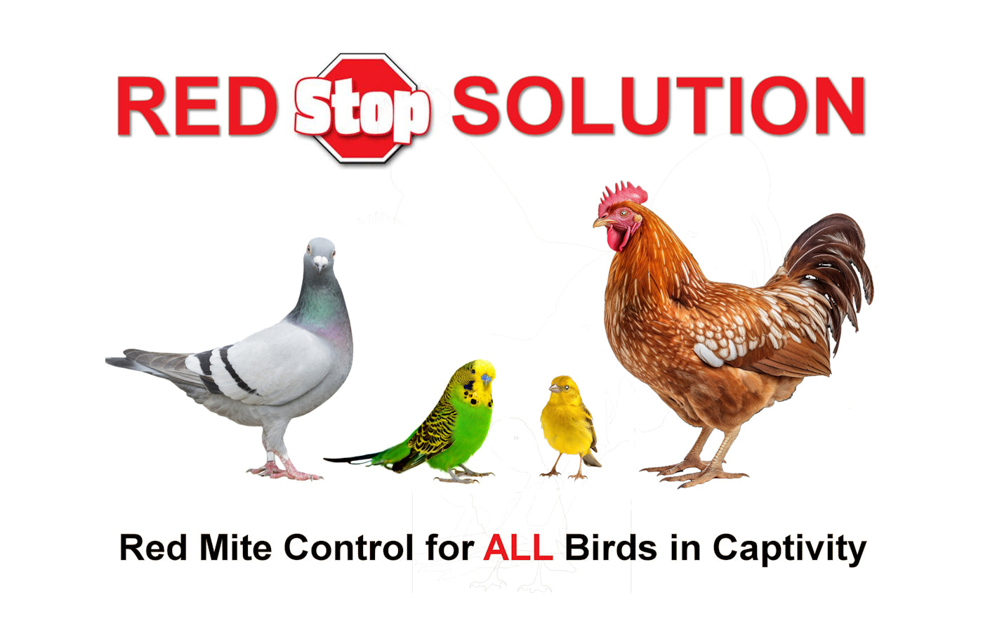 Red Stop Solution