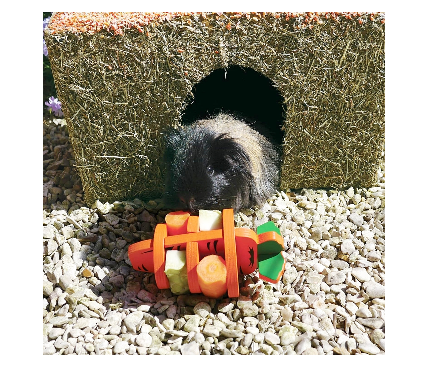 Rosewood Naturals - Carrot Cottage (Small) - Buy Online SPR Centre UK