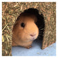 Rosewood Naturals - Carrot Cottage (Small) - Buy Online SPR Centre UK