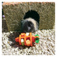 Rosewood Naturals - Carrot Cottage (Large) - Buy Online SPR Centre UK