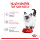 Royal Canin - Kitten | Dry Cat Food 400g - Buy Online SPR Centre U