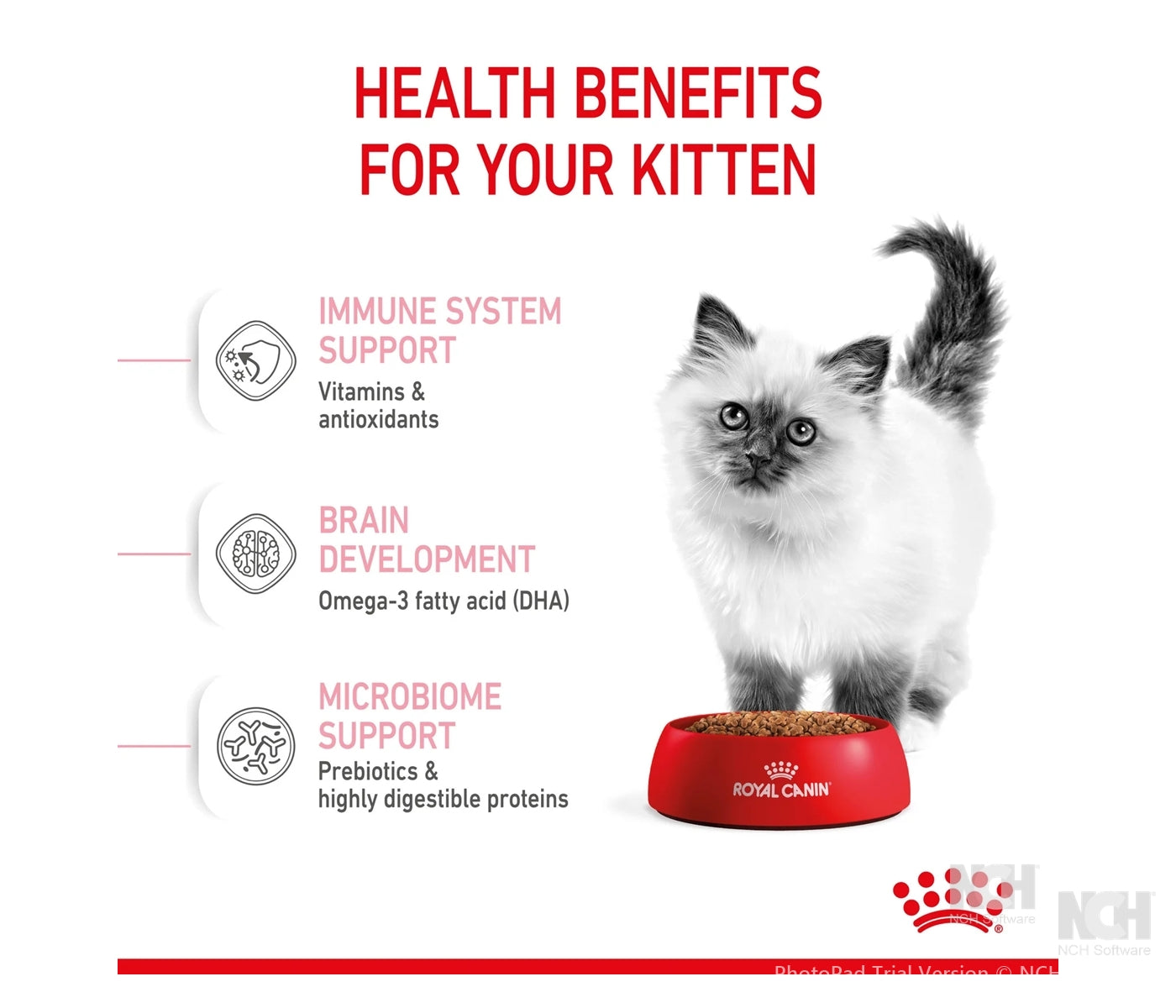 Royal Canin - Kitten | Dry Cat Food 400g - Buy Online SPR Centre U
