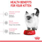 Royal Canin - Kitten | Dry Cat Food 400g - Buy Online SPR Centre UK