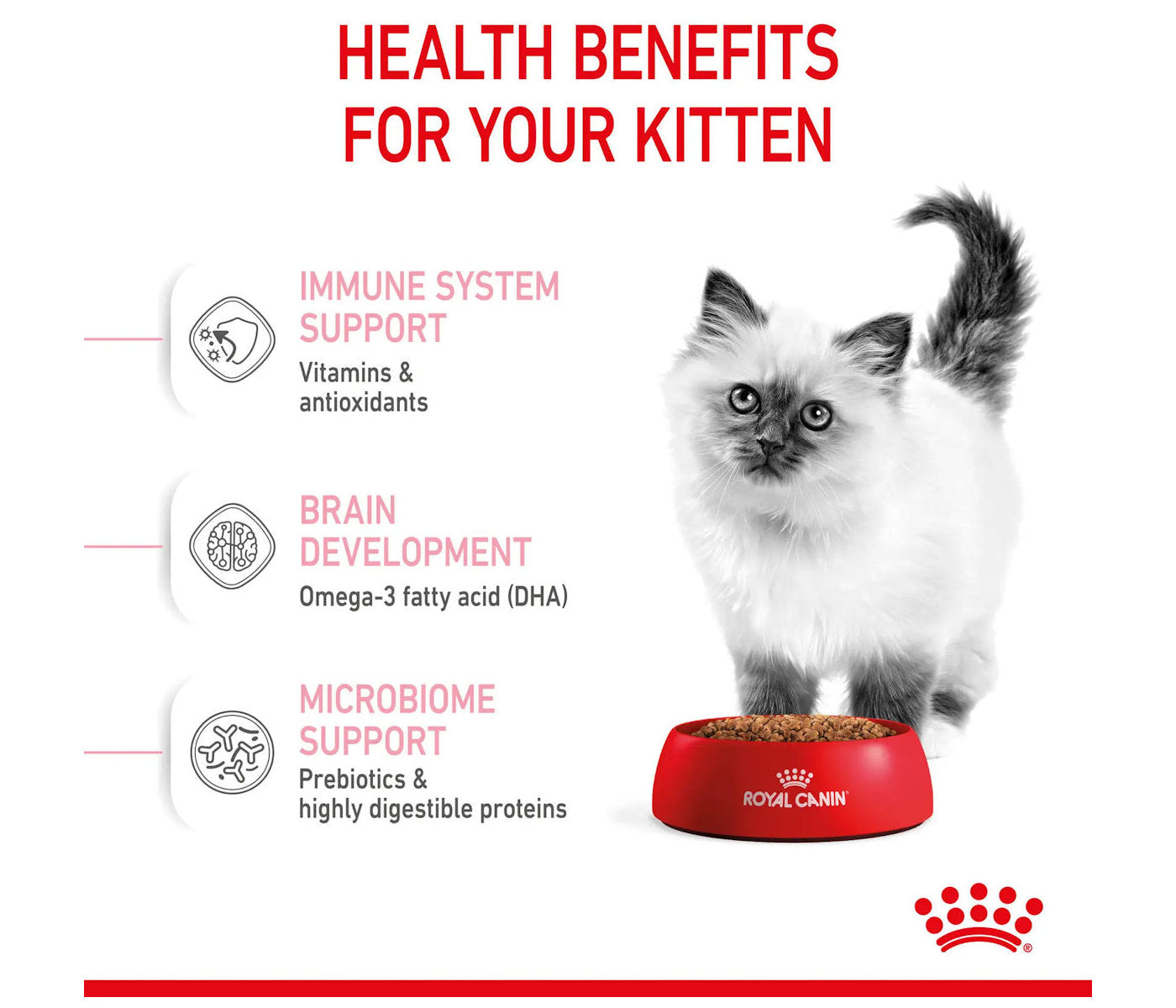 Royal Canin - Kitten | Dry Cat Food 400g - Buy Online SPR Centre UK