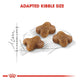 Royal Canin - Kitten | Dry Cat Food 400g - Buy Online SPR Centre UK