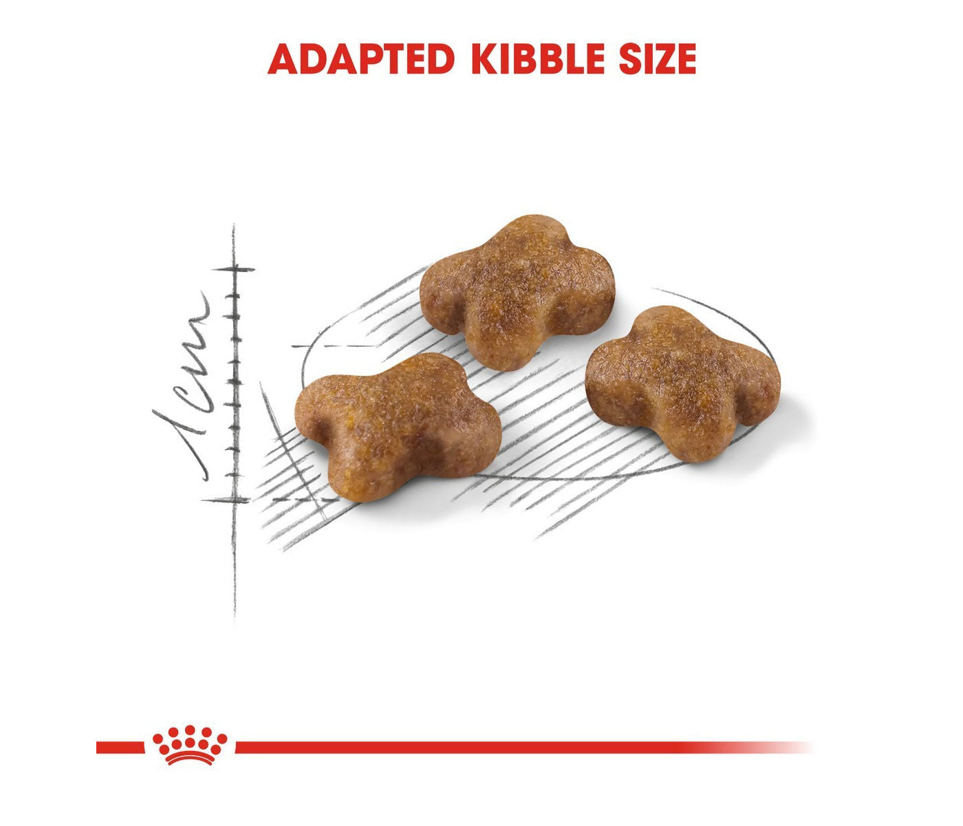 Royal Canin - Kitten | Dry Cat Food 400g - Buy Online SPR Centre UK