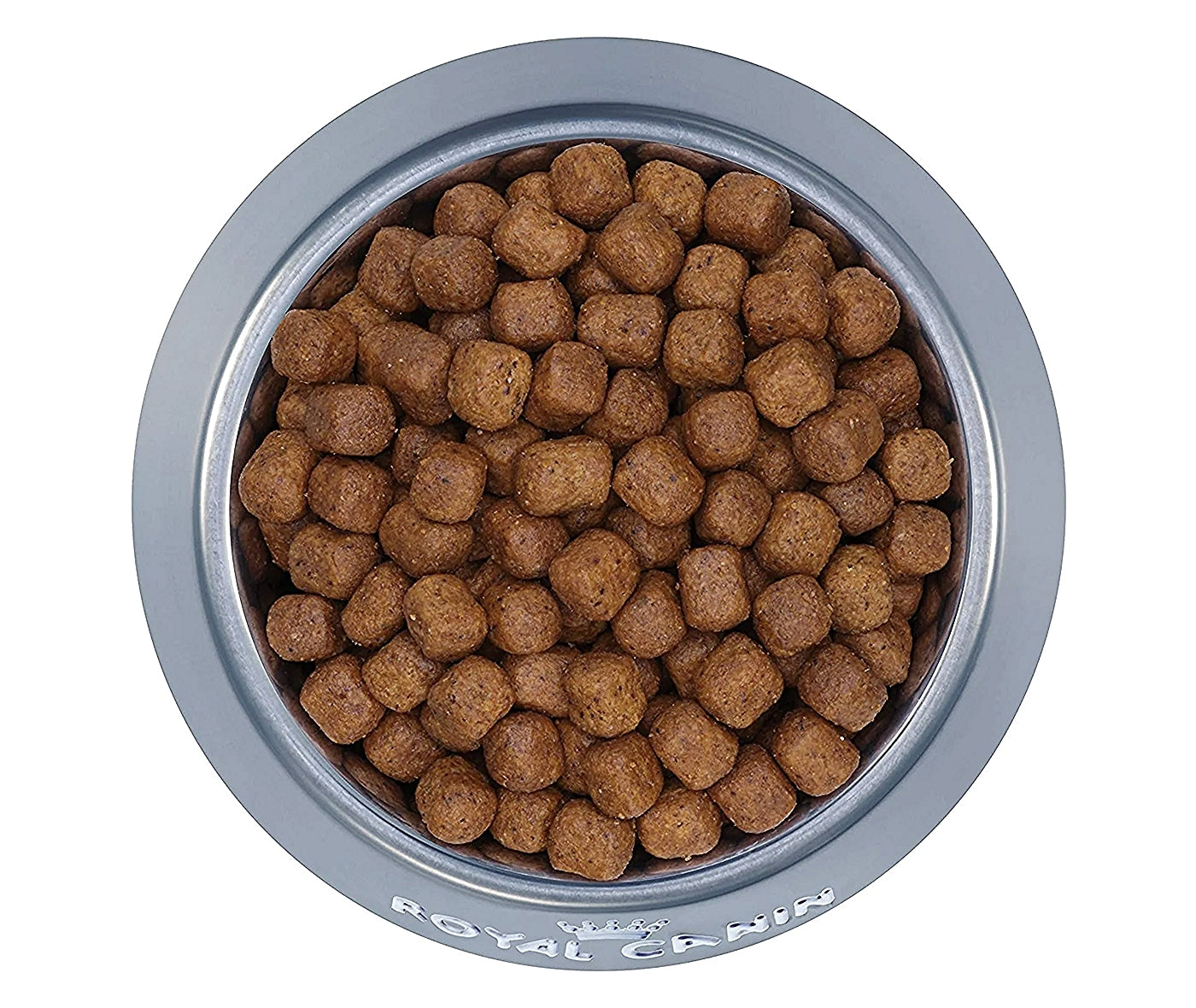 Royal Canin Maine Coon Adult Dry Cat Food Buy Online SPR Centre UK