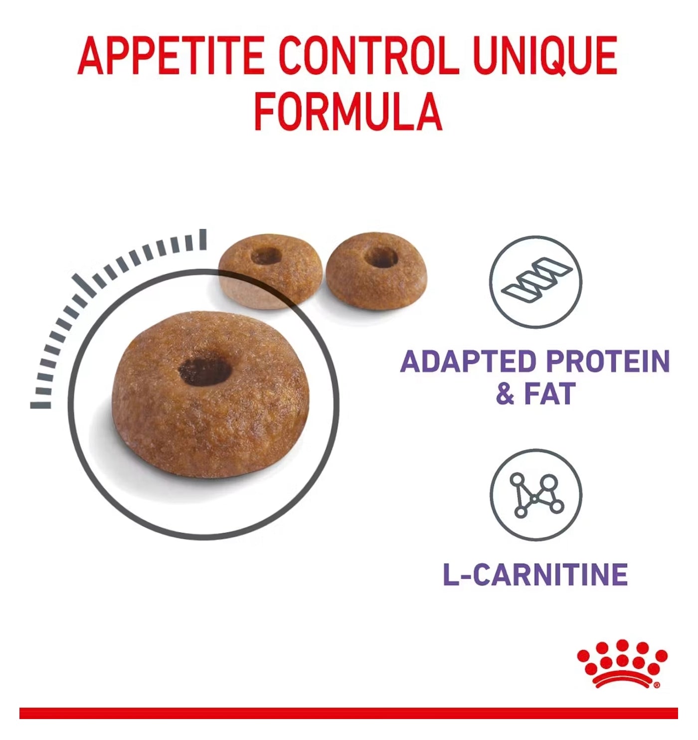 Royal Canin - Appetite Control 2kg - Dry Cat Food - Buy Online SPR Centre UK