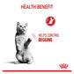 Royal Canin - Appetite Control 2kg - Dry Cat Food - Buy Online SPR Centre UK