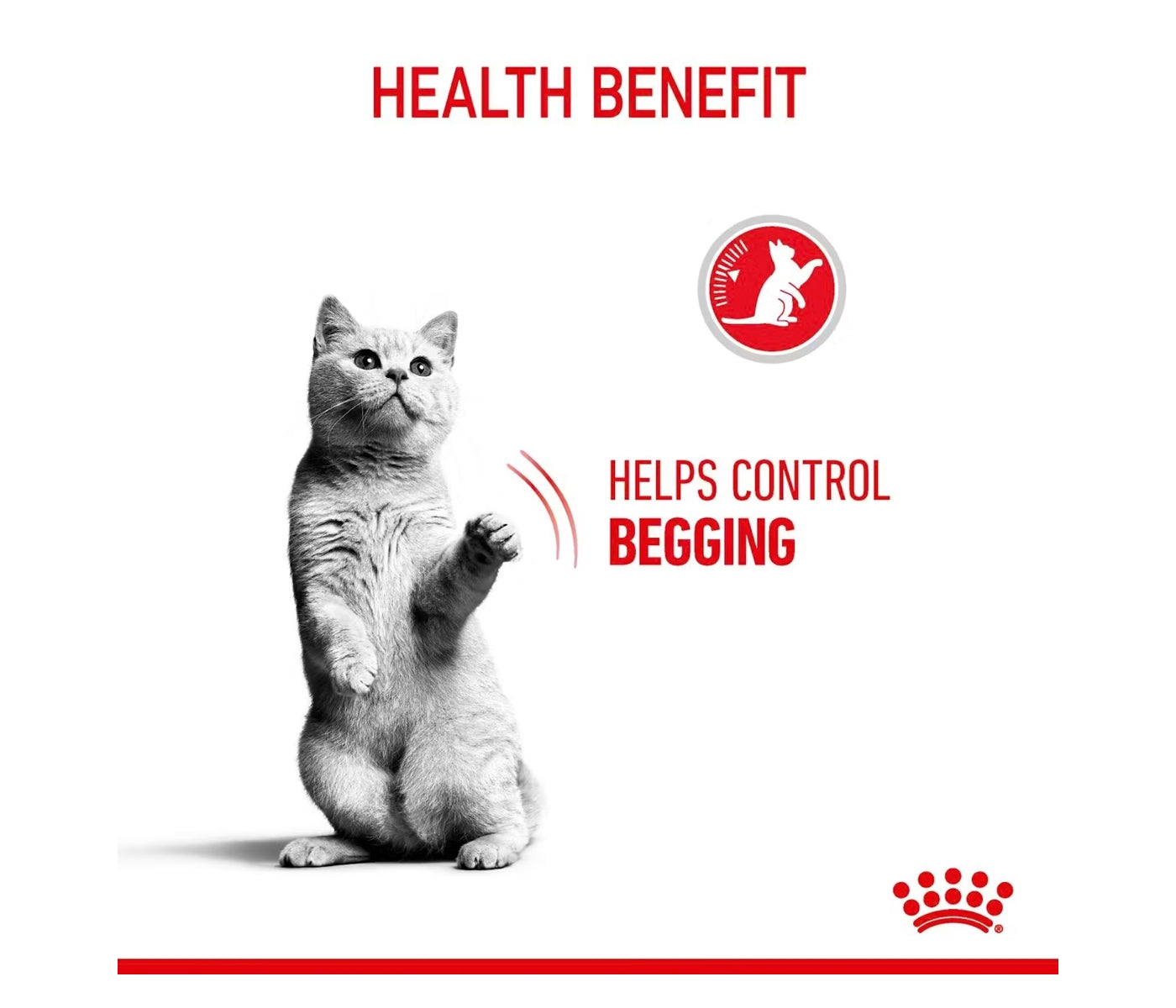 Royal Canin - Appetite Control 2kg - Dry Cat Food - Buy Online SPR Centre UK