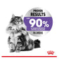 Royal Canin - Appetite Control 2kg - Dry Cat Food - Buy Online SPR Centre UK