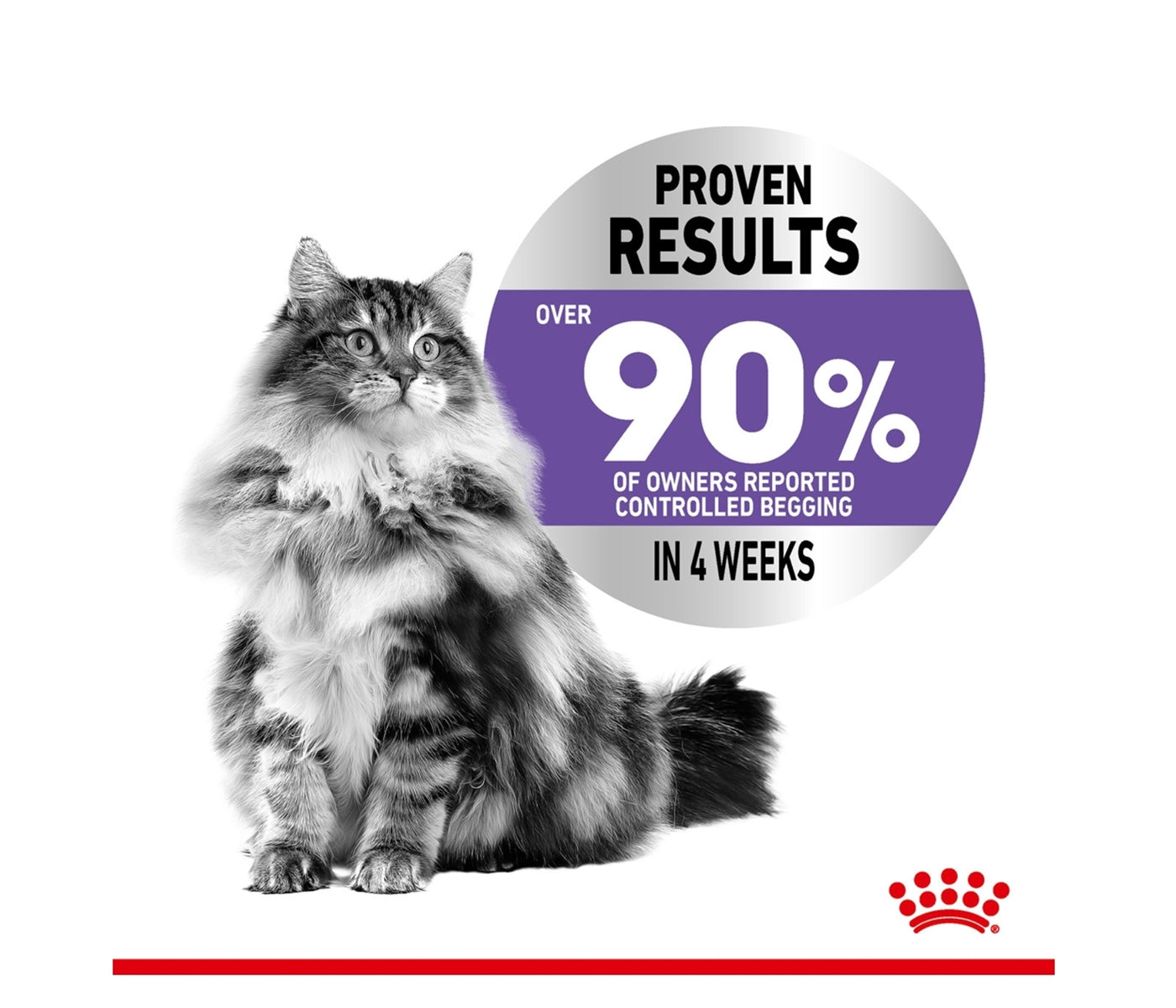 Royal Canin - Appetite Control 2kg - Dry Cat Food - Buy Online SPR Centre UK