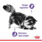 Royal Canin - Appetite Control 2kg - Dry Cat Food - Buy Online SPR Centre UK