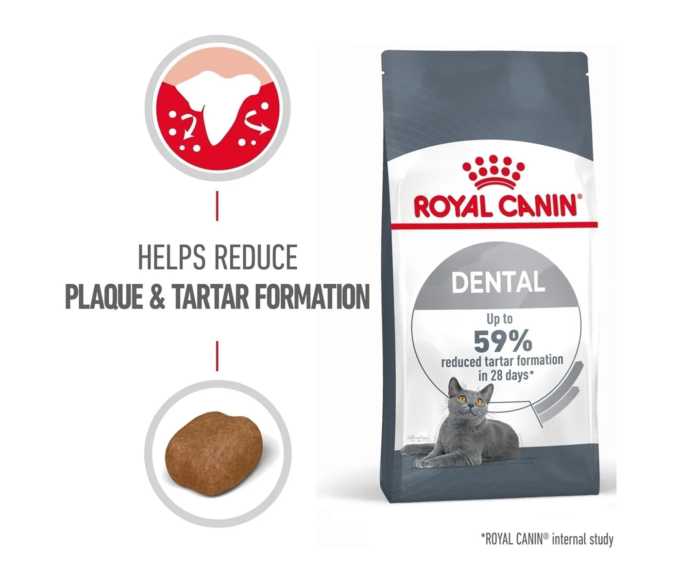 Royal Canin Dental Care 1.5kg - Dry Cat Food - Buy Online SPR Centre UK