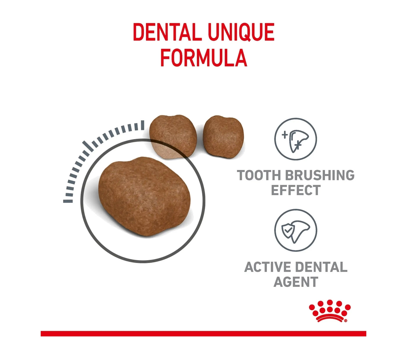 Royal Canin Dental Care 1.5kg - Dry Cat Food - Buy Online SPR Centre UK