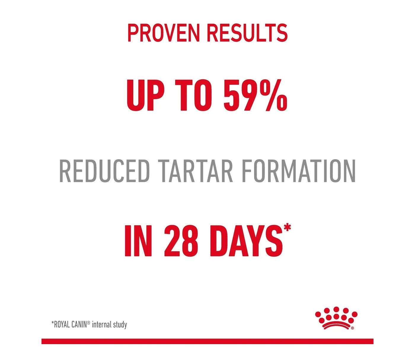 Royal Canin Dental Care 1.5kg - Dry Cat Food - Buy Online SPR Centre UK