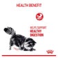 Royal Canin Digestive Care 2kg - Dry Cat Food - Buy Online SPR Centre UK