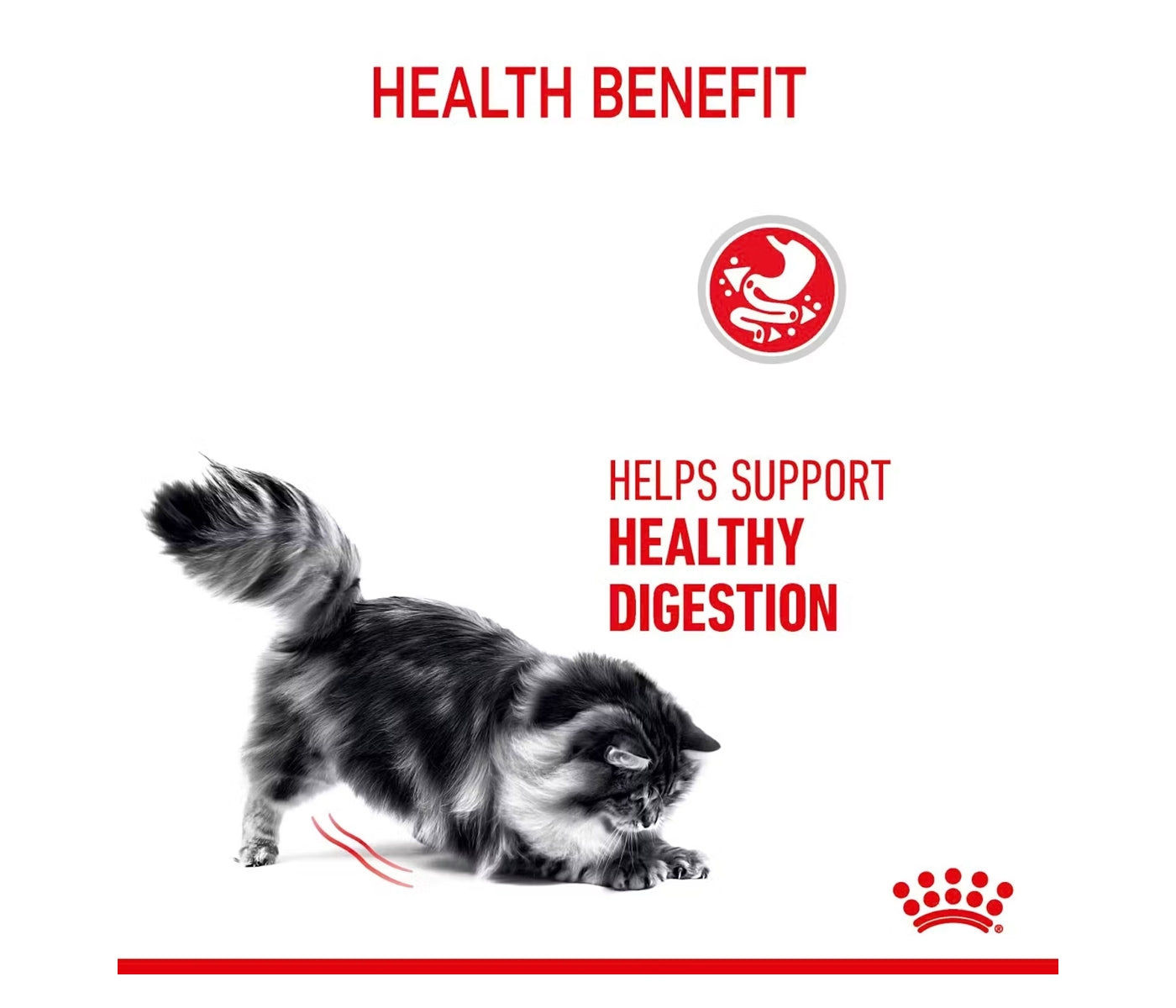 Royal Canin Digestive Care 2kg - Dry Cat Food - Buy Online SPR Centre UK