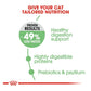 Royal Canin Digestive Care 2kg - Dry Cat Food - Buy Online SPR Centre UK