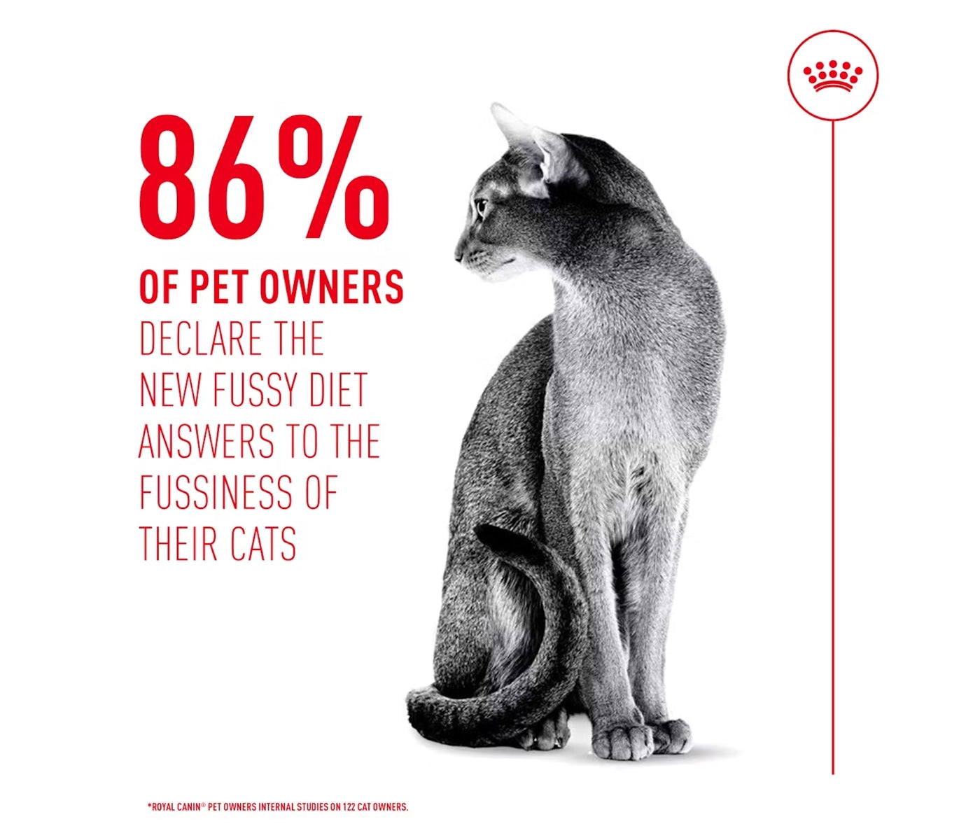 Royal Canin - Fussy - Dry Cat Food - 2kg - Buy Online SPR Centre UK