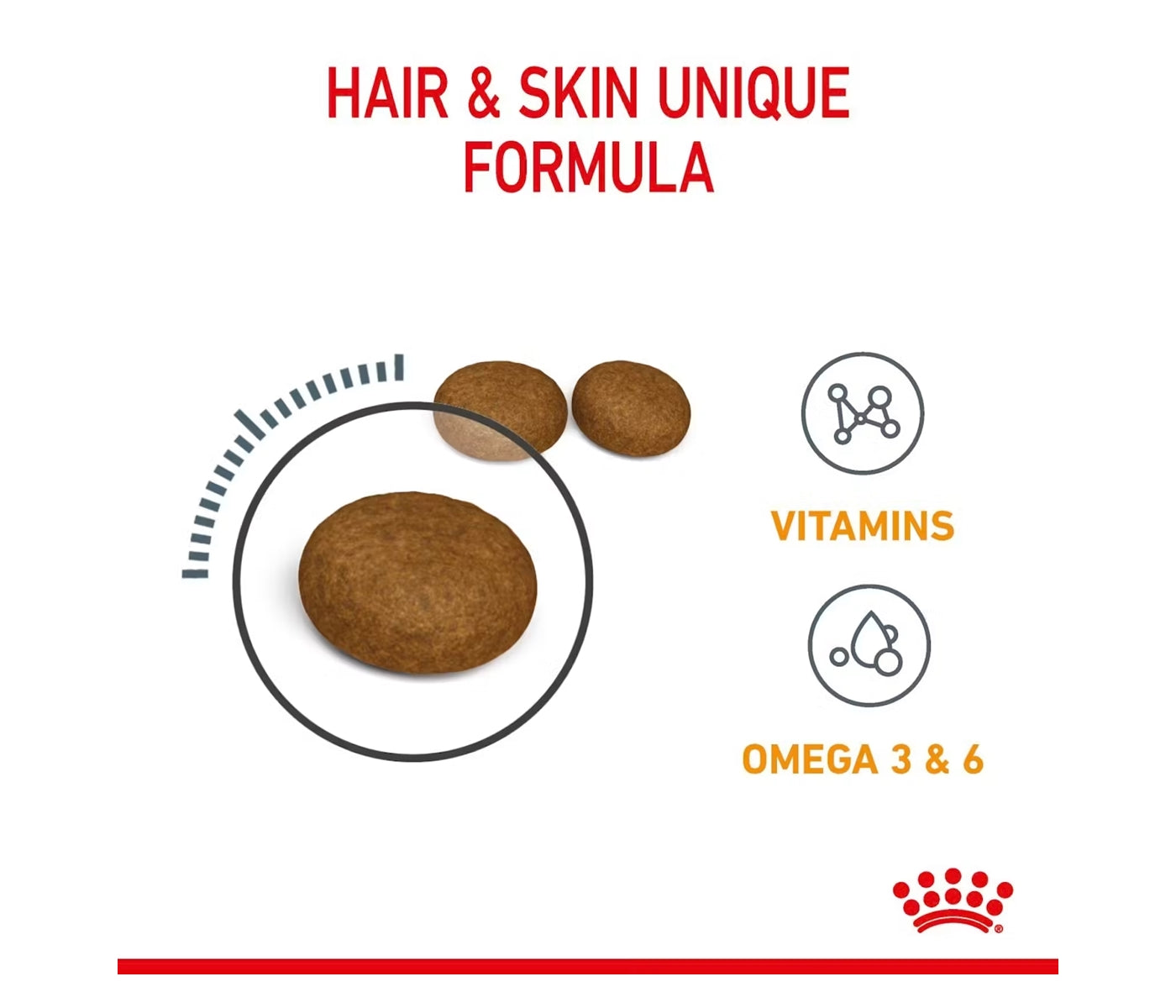 Royal Canin Hair & Skin Care 2kg - Dry Cat Food - Buy Online SPR Centre UK