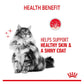 Royal Canin Hair & Skin Care 2kg - Dry Cat Food - Buy Online SPR Centre UK
