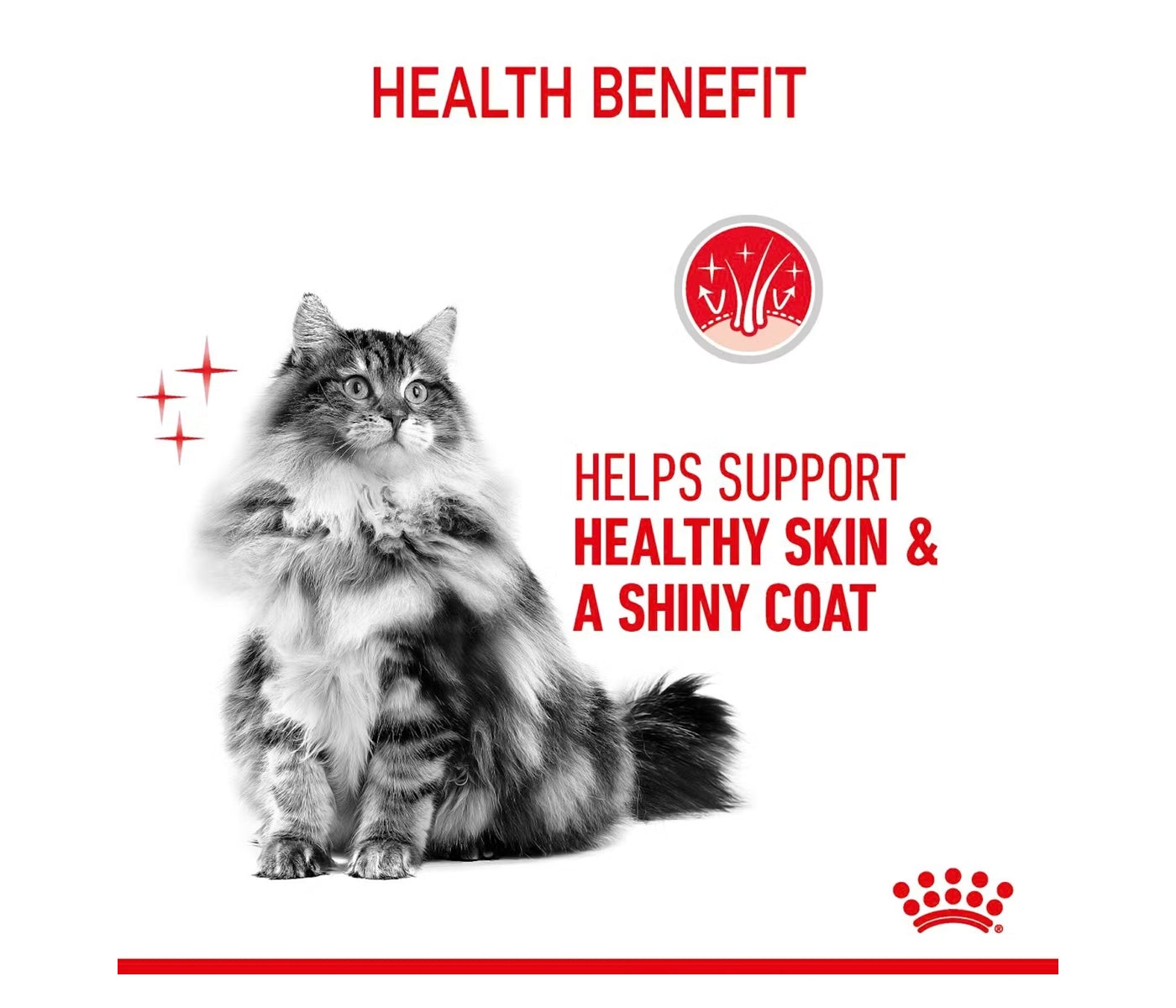 Royal Canin Hair & Skin Care 2kg - Dry Cat Food - Buy Online SPR Centre UK