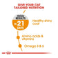 Royal Canin Hair & Skin Care 2kg - Dry Cat Food - Buy Online SPR Centre UK