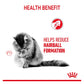 Royal Canin - Hairball Care 2kg - Dry Cat Food - Buy Online SPR Centre UK