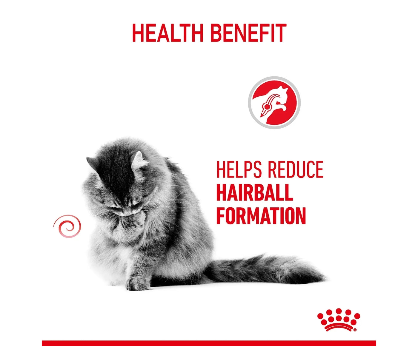 Royal Canin - Hairball Care 2kg - Dry Cat Food - Buy Online SPR Centre UK