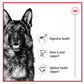 Royal Canin Maxi Adult Dog Food - Buy Online SPR Centre UK