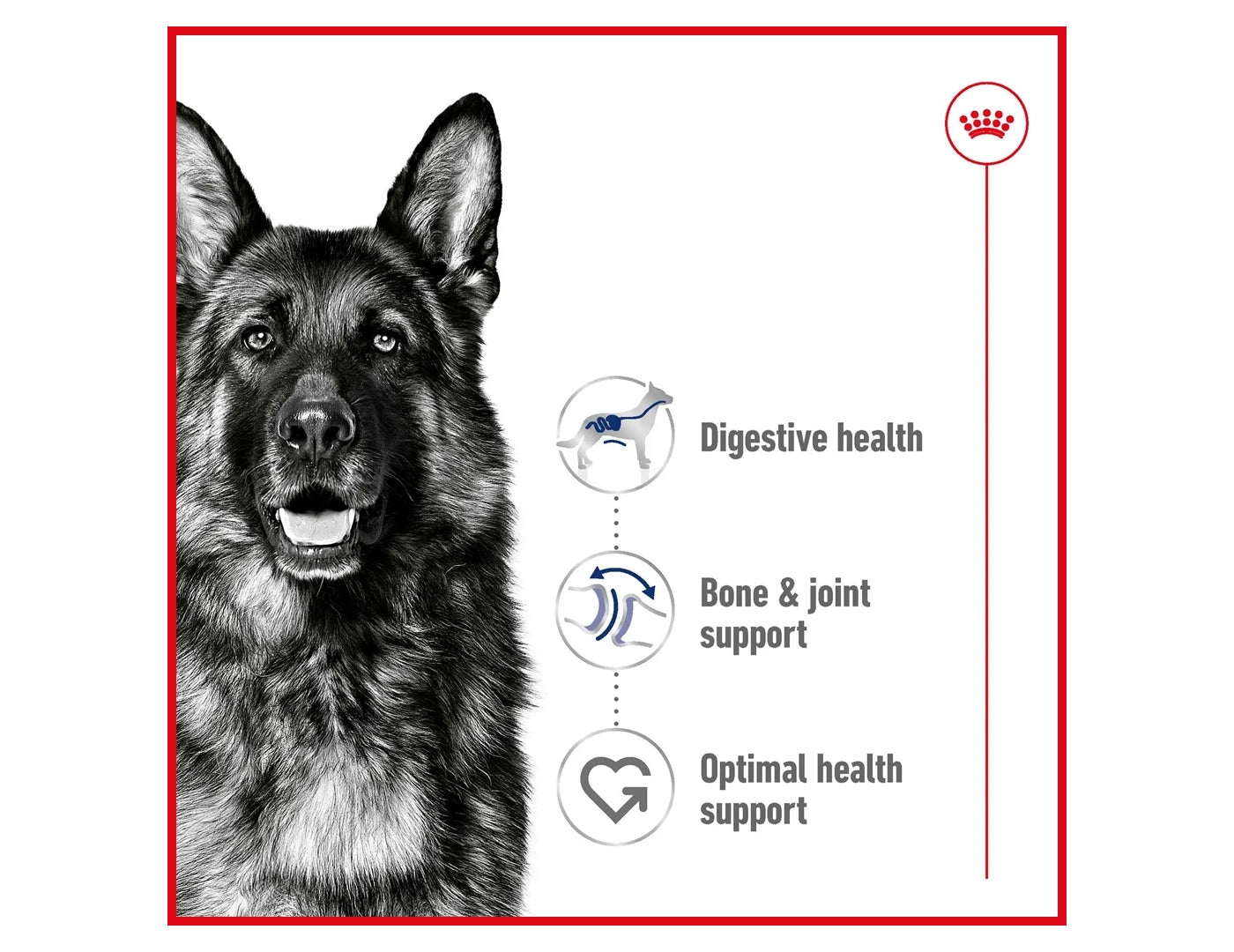 Royal Canin Maxi Adult Dog Food - Buy Online SPR Centre UK