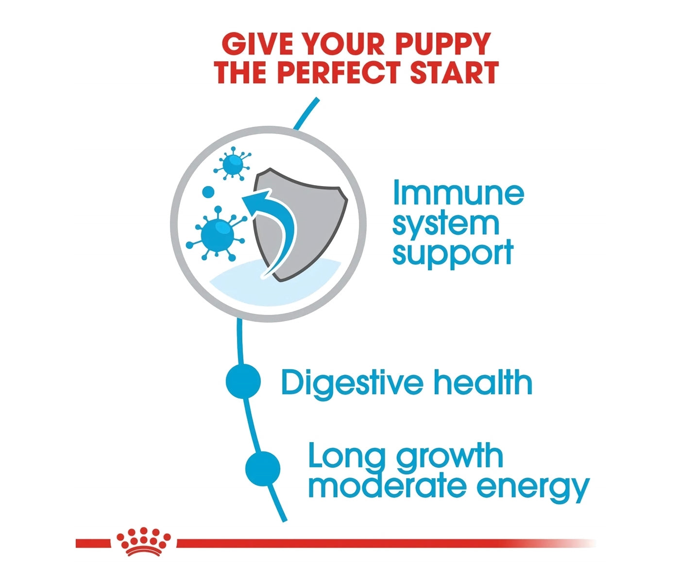 Royal Canin - Maxi Puppy | Dog Food - Buy Online SPR Centre UK