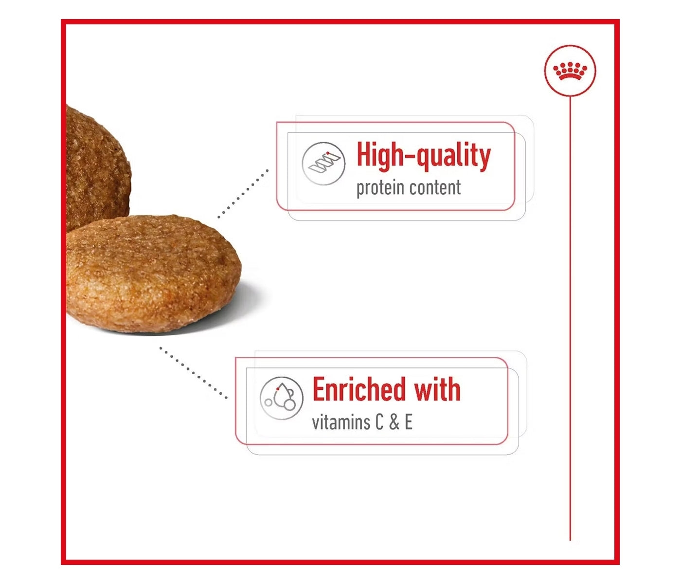Royal Canin - Medium Adult 7+ Dog Food - Buy Online SPR Centre UK