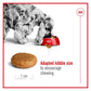 Royal Canin - Medium Adult 7+ Dog Food - Buy Online SPR Centre UK