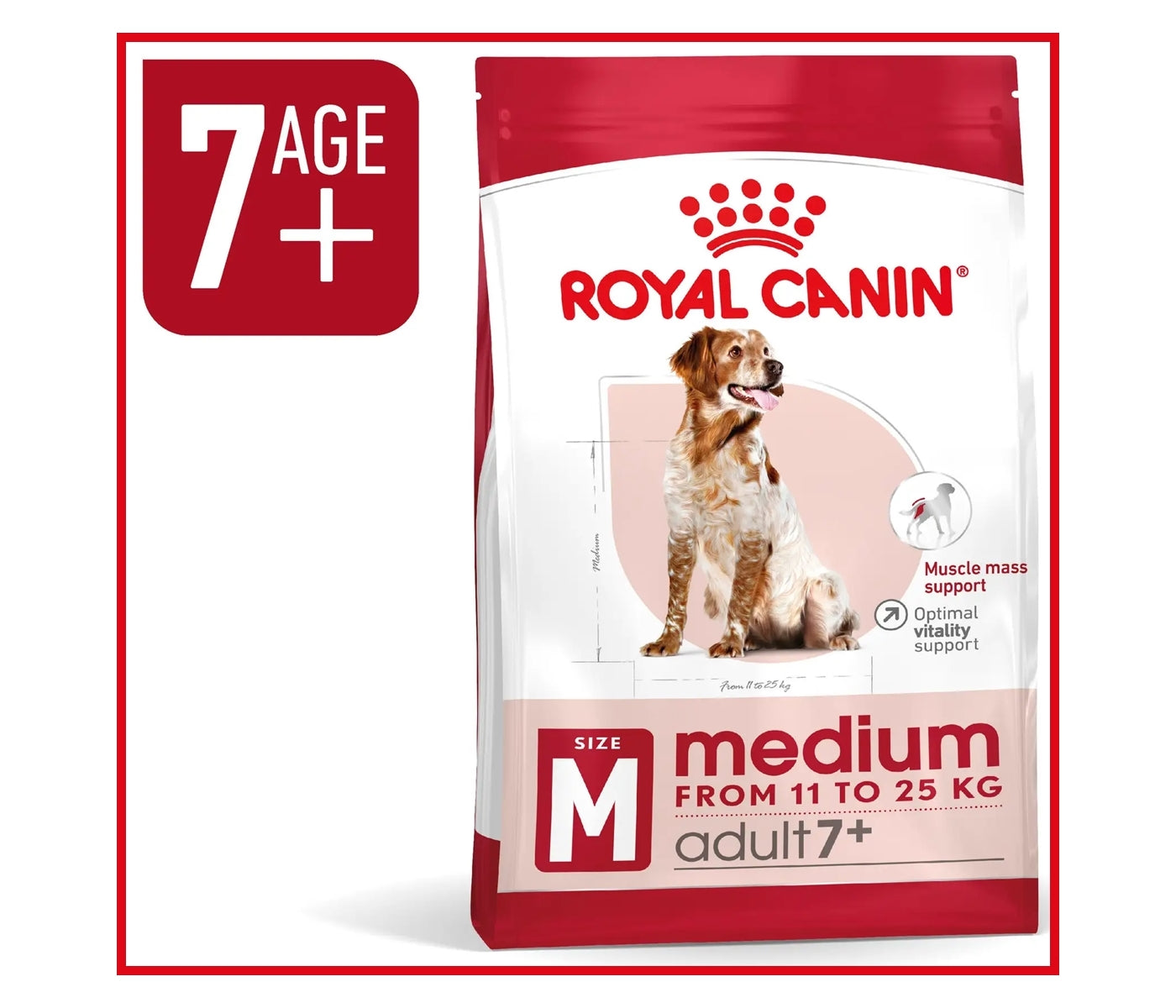 Royal Canin - Medium Adult 7+ Dog Food - Buy Online SPR Centre UK